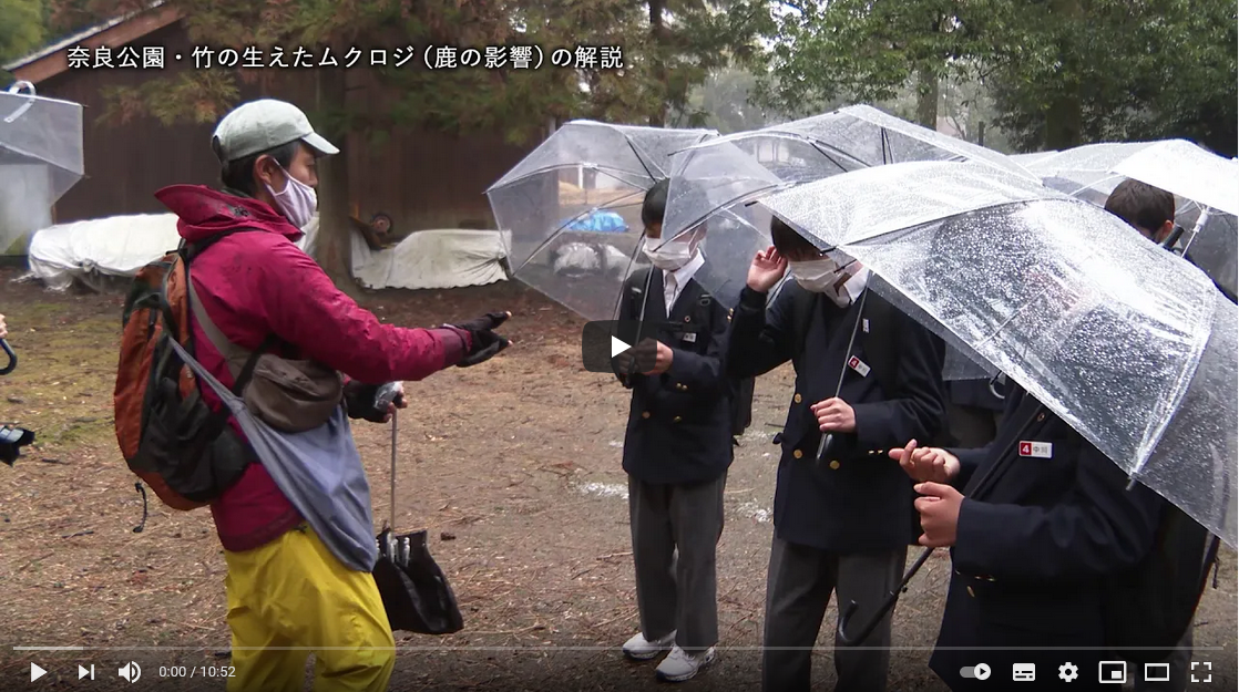 【ダイジェスト】奈良SDGs学び旅モニターツアー【大和郡山市立郡山西中学校1年生】