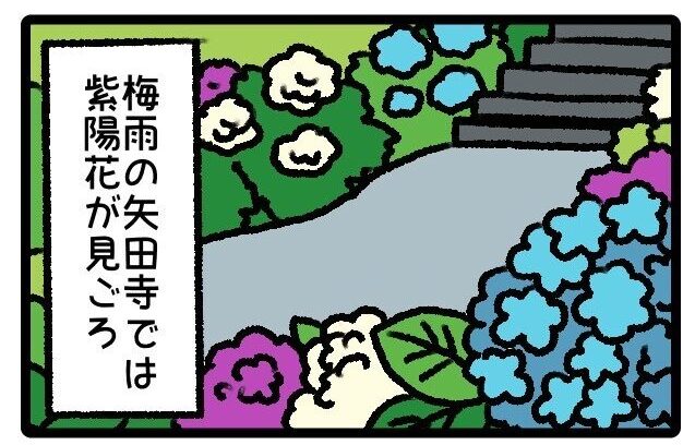 はばたけルリセンチ vol.21