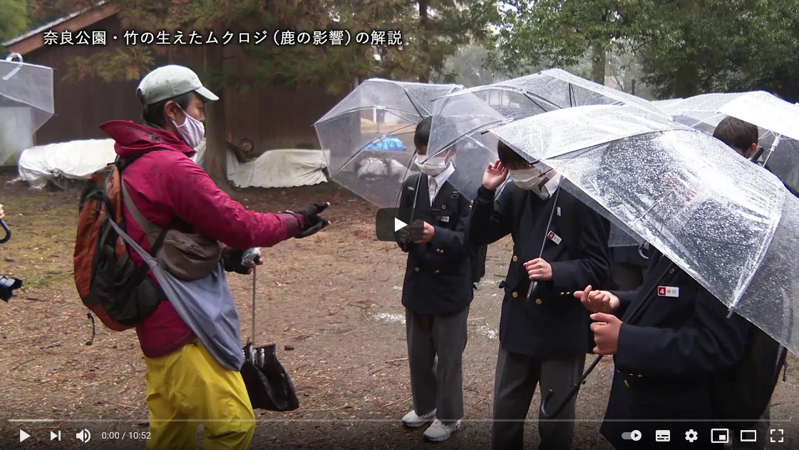 ダイジェストムービー