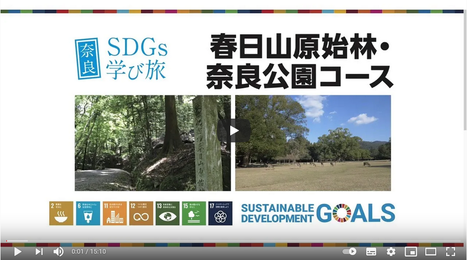 奈良学び旅モニタツアー【春日山原始林・奈良公園編】
