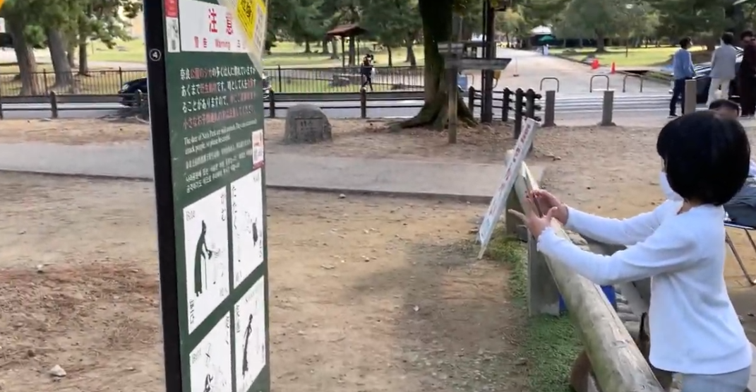 第1回遊ぼう！学ぼう！奈良公園SDGs自然学校「シカと糞虫と自然の共生」ダイジェスト動画
