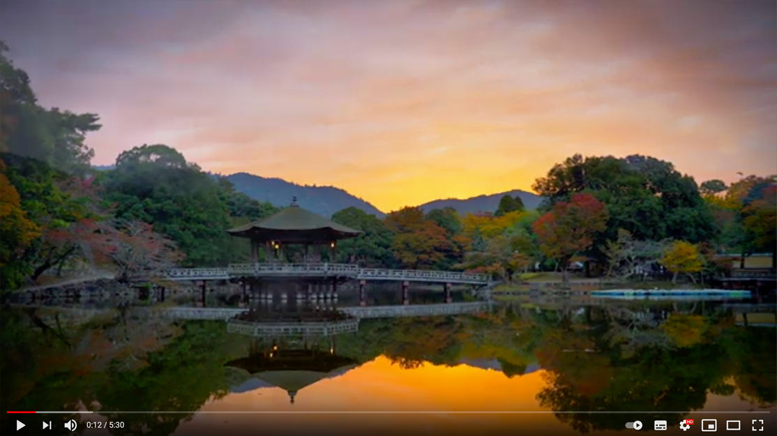 奈良SDGs学び旅 東大寺