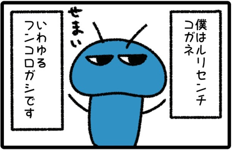 はばたけルリセンチ vol.2