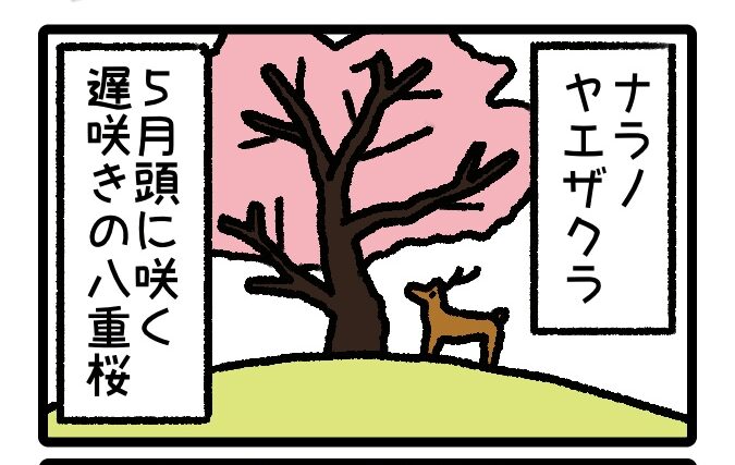 はばたけルリセンチ vol.41